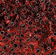 username666 // 523x511 // 622KB