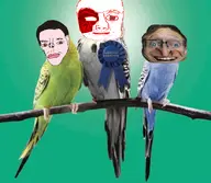 bu5t Connor // 633x551 // 310KB