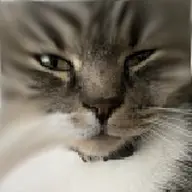 character:copiums_cat // 160x160 // 37KB