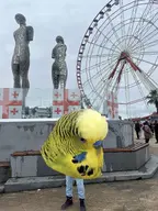 budgie Georgia // 1169x1560 // 438KB