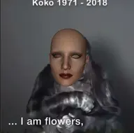 character:mother_face // 419x415 // 183KB