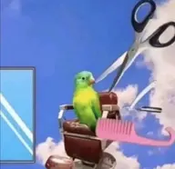 bird googie // 1069x1035 // 915KB