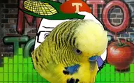 bu5t budgie combination_style Mario_Tomato // 1024x637 // 96KB
