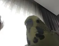 tagme // 1031x800 // 60KB