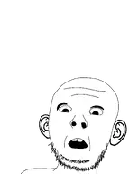 Soyjak // 1439x1935 // 101KB