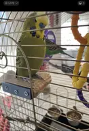 tagme // 1093x1600 // 199KB