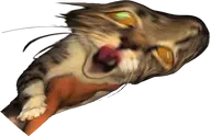 cat cat_gore character:copiums_cat transparent // 533x343 // 175KB