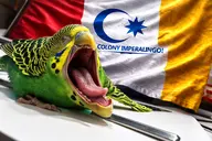 bird budgie colony meta:ai_generated // 1536x1024 // 2.7MB