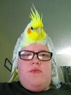 bird character:george cockatiel meta:ai_generated // 384x512 // 369KB