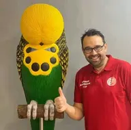 budgie // 364x360 // 38KB