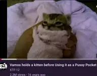 cat thumbnail // 480x376 // 18KB