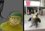 aethos bird character:evil_john character:jeffy cockatiel // 693x480 // 337KB