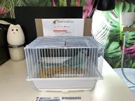 bird seeds // 1536x1152 // 209KB