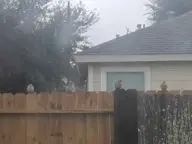 bird // 4032x3024 // 312KB